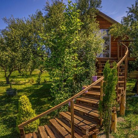 Fairytale Hotel Koukounaria ภายนอก รูปภาพ