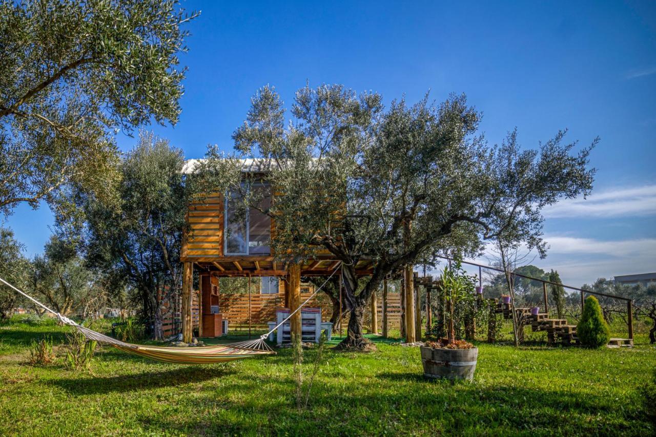 Fairytale Hotel Koukounaria ภายนอก รูปภาพ