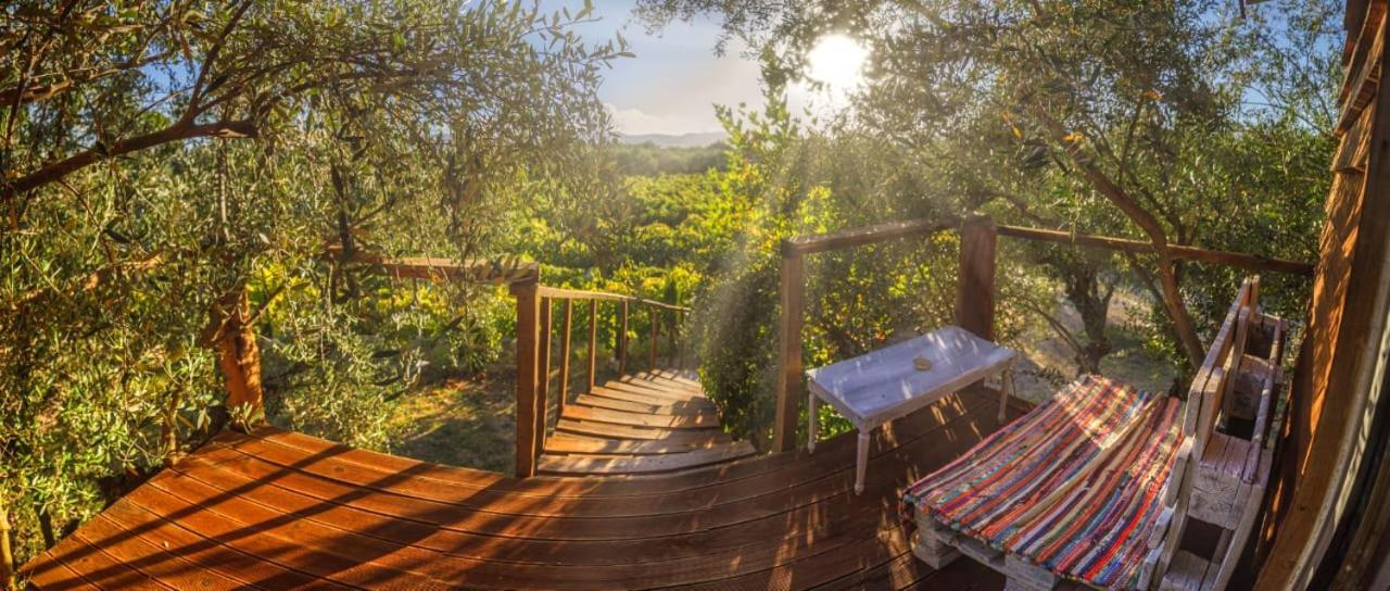 Fairytale Hotel Koukounaria ภายนอก รูปภาพ
